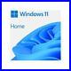 Microsoft WIN HOME FPP 11 64-BIT ENG INTL USB HAJ-00090 Software Operatin