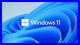 Microsoft Windows 11 Professional for Workstation 64 BIT By Order NEW